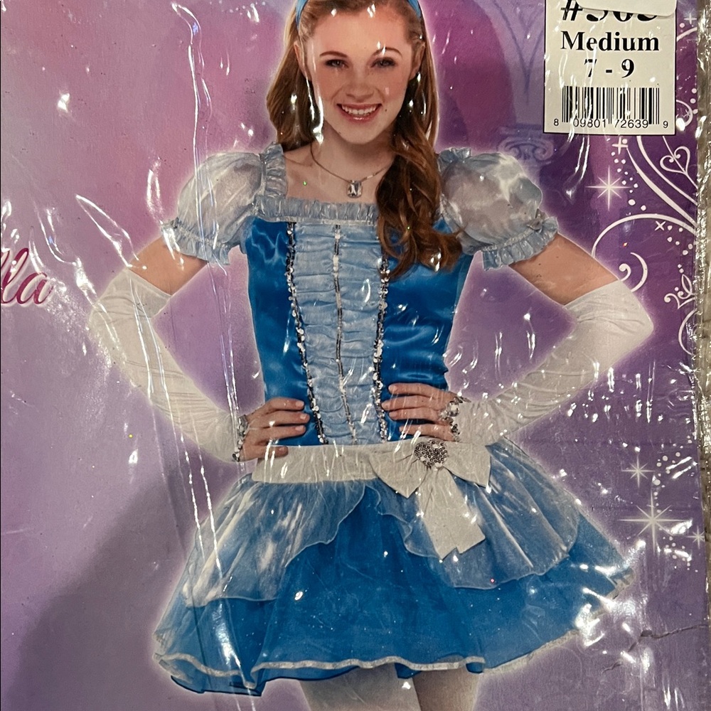 Cinderella costume Blue Princess Girls' Costume Dress with White Accents